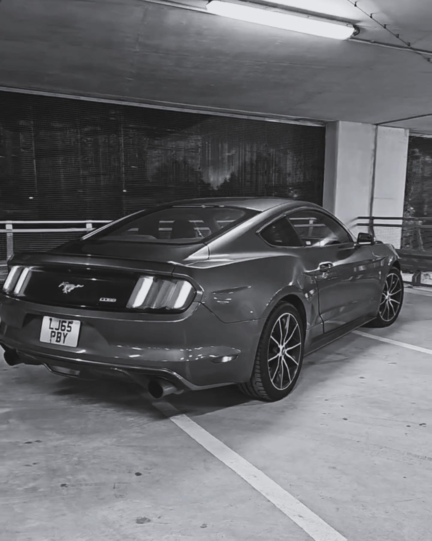 FORD MUSTANG (11/10/2015) - 