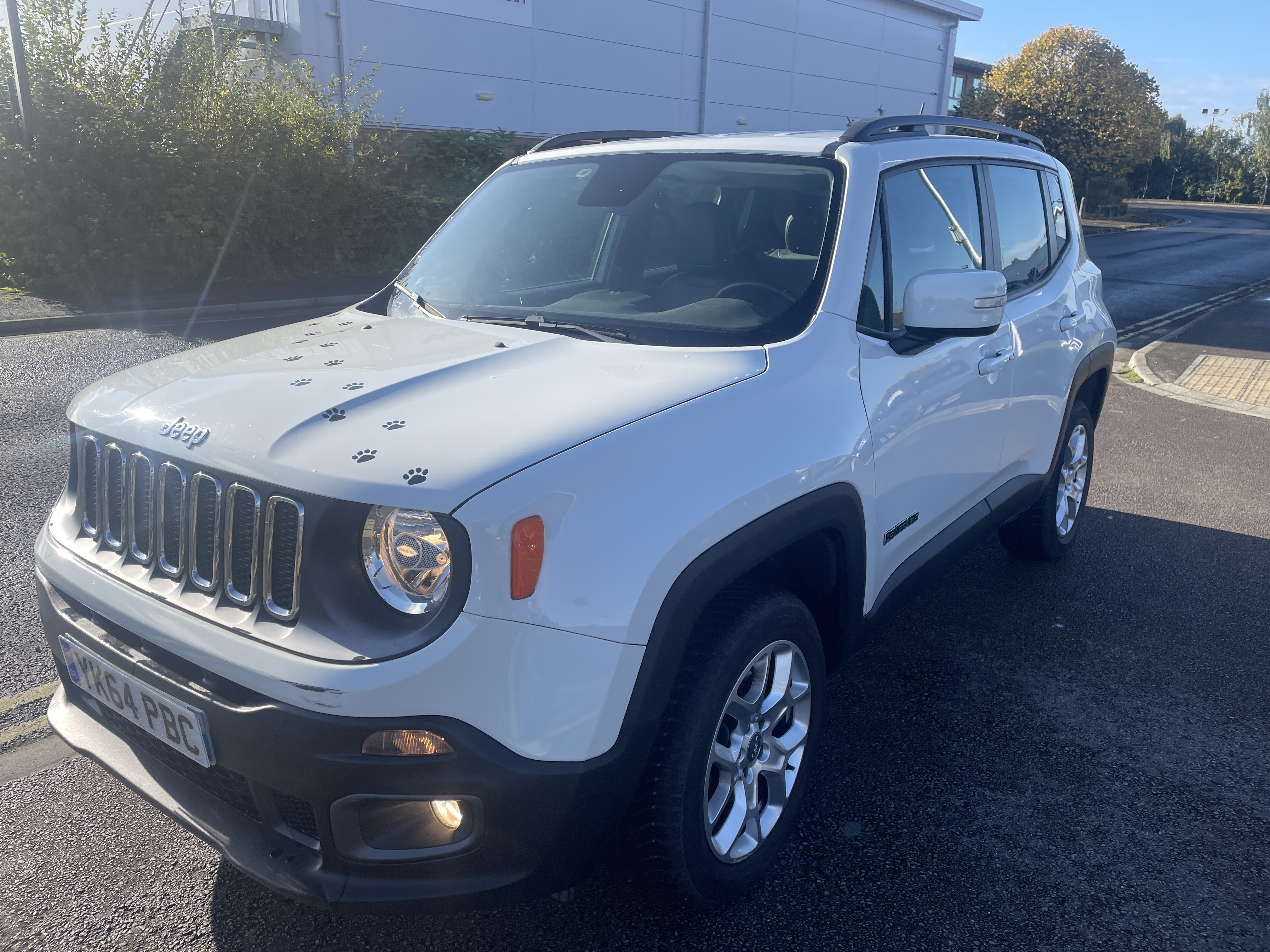 JEEP RENEGADE (01/04/2015) - 